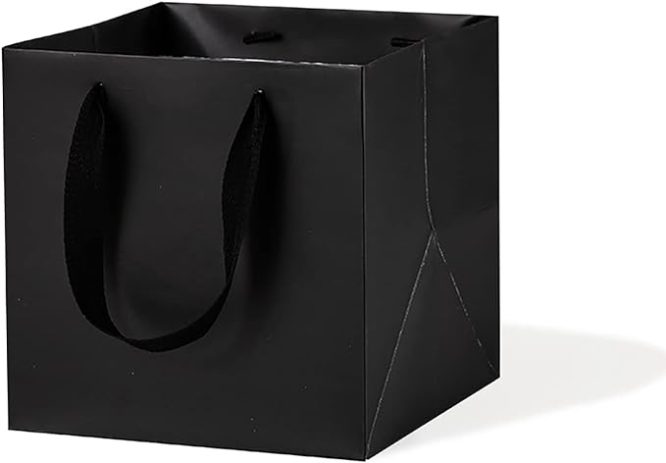 BLACK PAPER GIFT BAG (S) 25×25CM 10 PCS