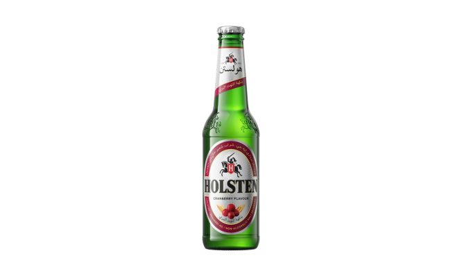 HOLSTEN CRANBERRY SOFT DRINK 330 ML