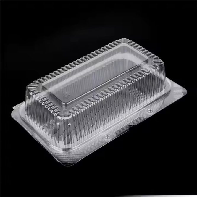 CH053 RECTANGULAR PLASTIC CONTAINER 250 PCS