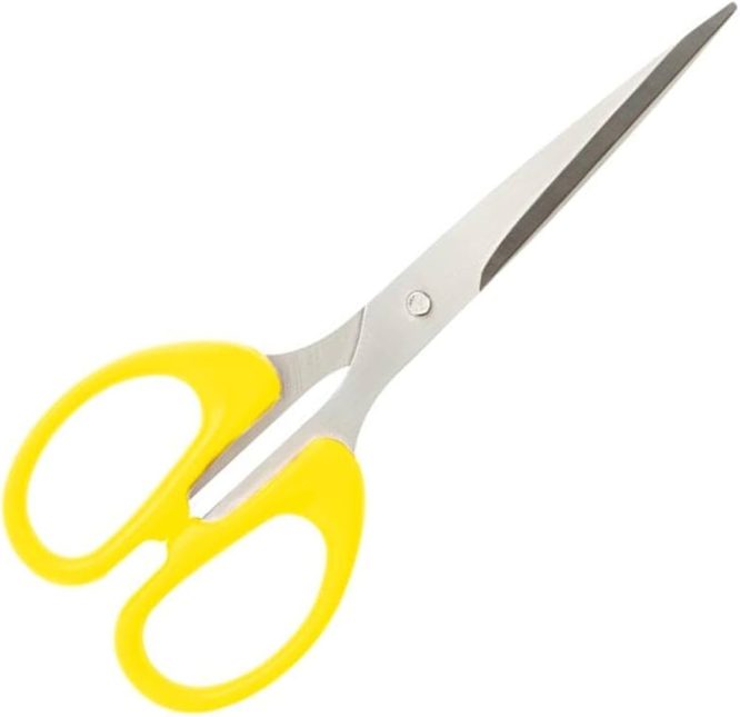 STAINLESS STEEL SCISSOR 6.5